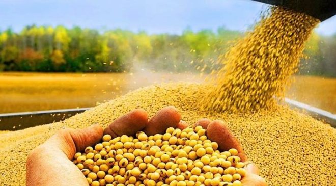 Tarımda “bu günler iyi günler” demek…