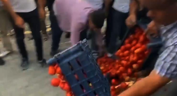 Çiftçiler domatesleri döktü…