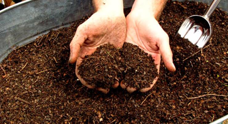 Kompost/ kompostlaştırma nedir?