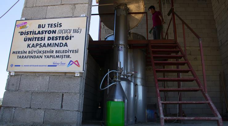 Lavanta üreticilerine distilasyon makinesi…
