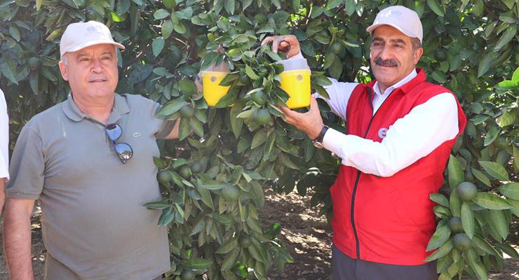  Üreticilere Akdeniz Meyve Sineği Tuzağı dağıtımı…