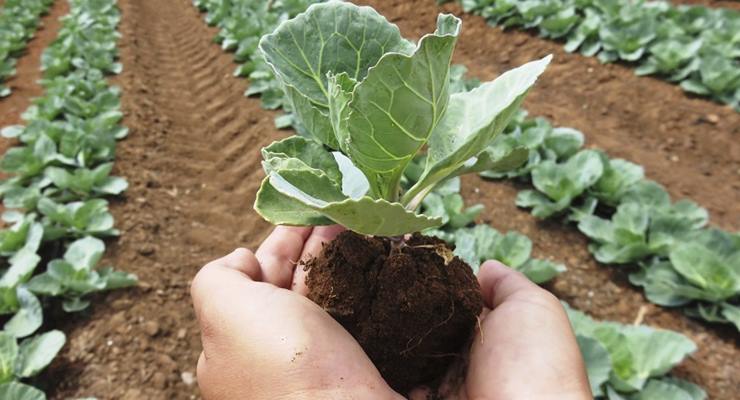 Barut’tan “’tarımsal üretimin planlanması” yönetmeliğine tepki…