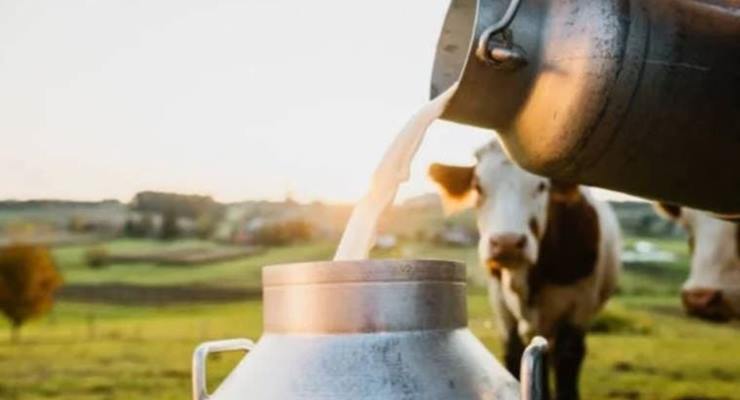 Süt üreticisine %8,5, Et ve Süt Kurumuna %25