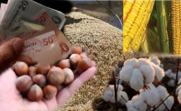 Şimdi de “taban fiyat baskılaması” …