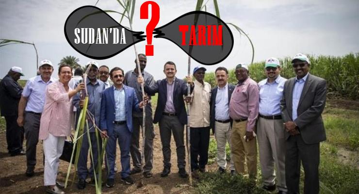  “Sudan’da tarım başlamadan bitti!
