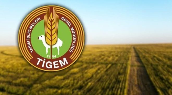 TİGEM 2026 tohumluk fiyatlarını duyurdu