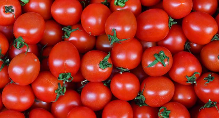 Ankaralılar en çok domates ve karpuz tüketti