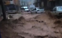 Selin yıkıcı etkisi nasıl azaltılır?  