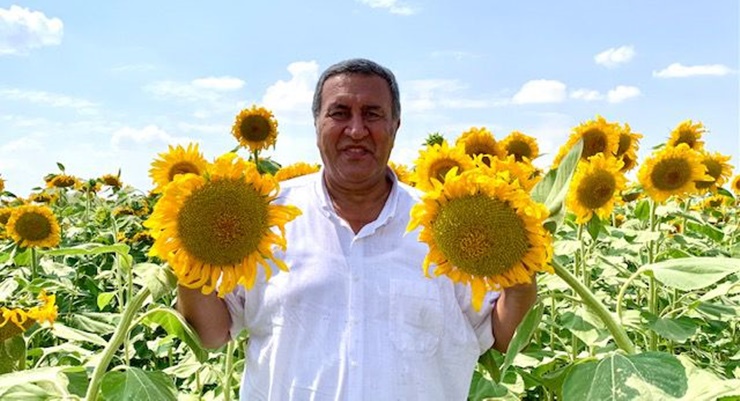 Ayçiçeği ham yağında dışa bağımlılık artıyor         