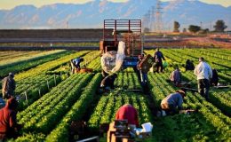 ABD’de tarım dışı istihdam Nisan’da beklentilerin altında kaldı
