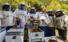“Kontrolsüz ilaçlamaya dur diyelim, çünkü arılar varsa bir geleceğimiz var!”