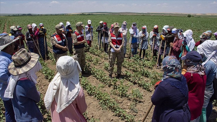 Kaya’dan “mevsimlik tarım işçileri tatil amaçlı gidiyorlar” açıklaması…