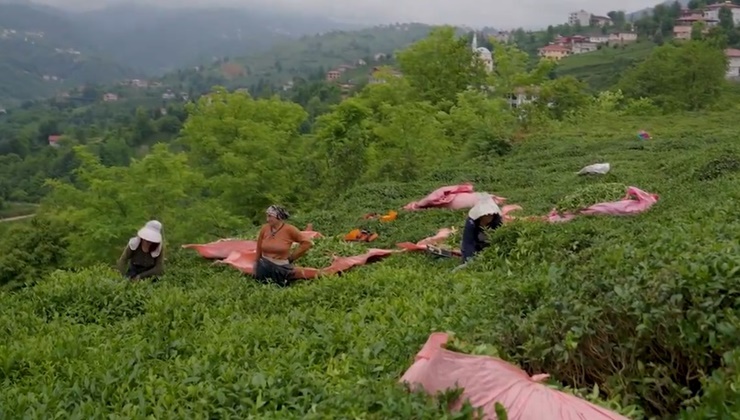 Tütün üreticileri 2 Haziran’da Rize’de…