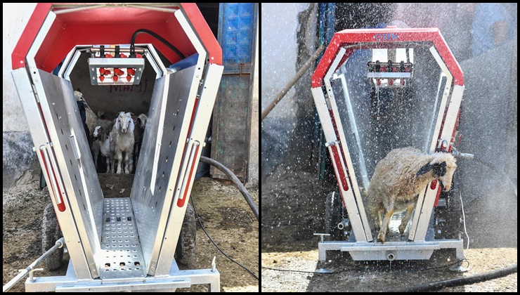 Hayvan üreticilerine “küçükbaş hayvan yıkama makinesi” desteği