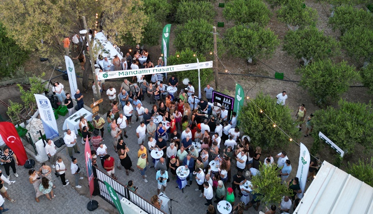 Yeşil Bodrum Mandalini hasat etkinliği         