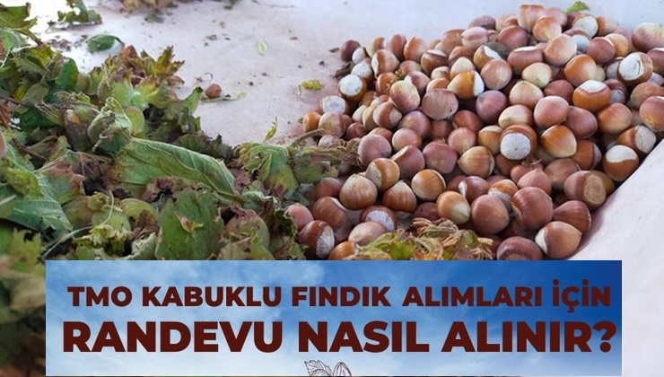 Kabuklu fındık alımları için randevu nasıl alınır?