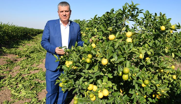 “Üretimle dışsatım yerine dışalım destekleniyor!”