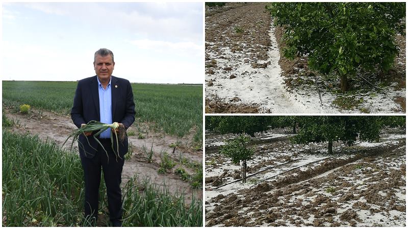 Önce kuraklık, ardından don, dolu, fırtına…