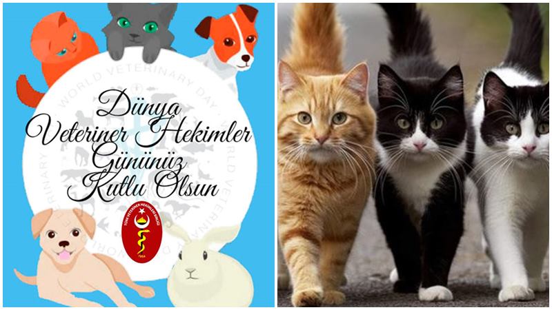 Dünya Veteriner Hekimler Günü