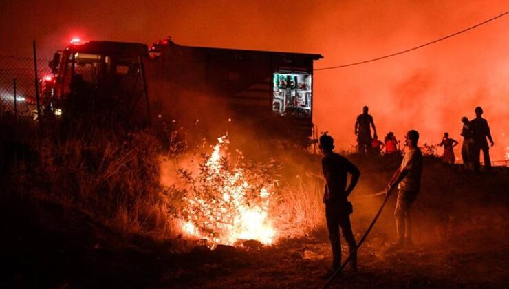 Buca’daki orman yangınıyla ilgili bir kişi gözaltına alındı