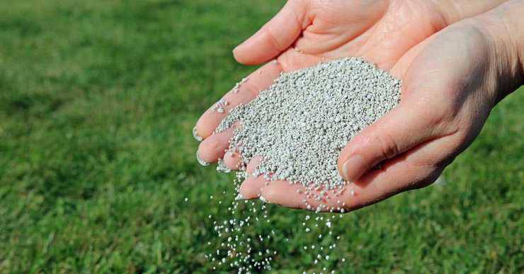 Biberde amonyum sülfat kullanımı nasıl yapılır?