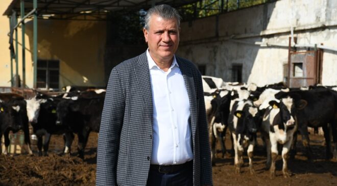 İnekler kesimde, süt fiyatı yerlerde, üretici mağdur