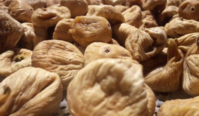 Kuru incirde yeni sezon 15 Ekim’de başlıyor