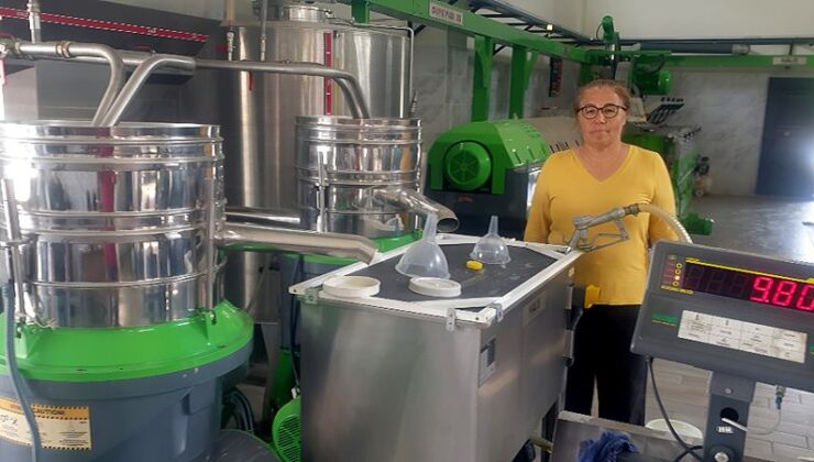 Elvanlı ‘da erken hasat zeytinyağı…