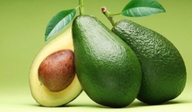 Alanya’da 633 gramlık avokado
