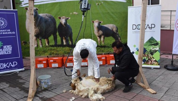 150 yetiştiriciye şaftlı koyun kırkım makinası dağıtımı