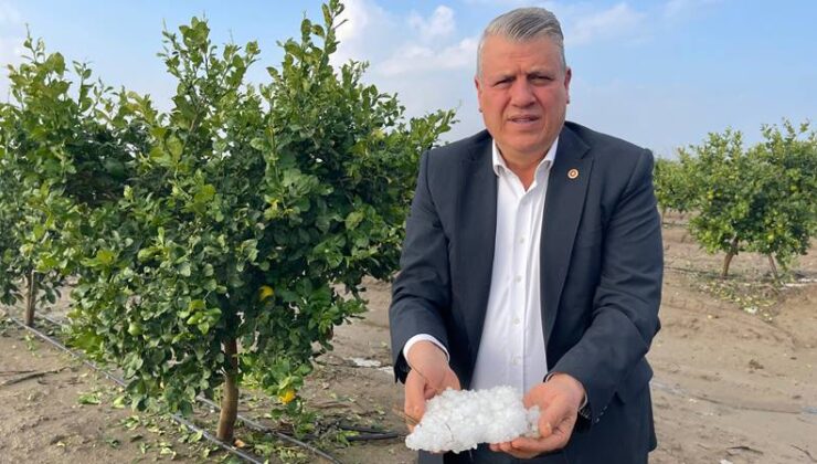 “Doludan etkilenen çiftçilerin hasarları belirlensin…”