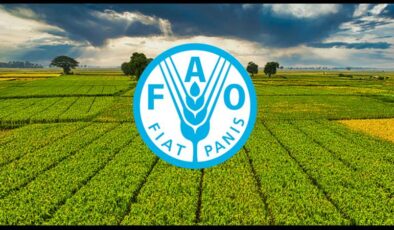 FAO ödülleri için başvurular 15 Şubat’a dek…