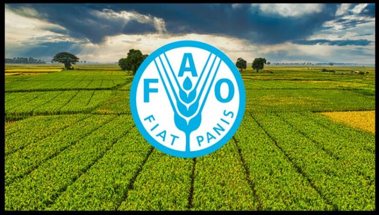 FAO ödülleri için başvurular 15 Şubat’a dek…