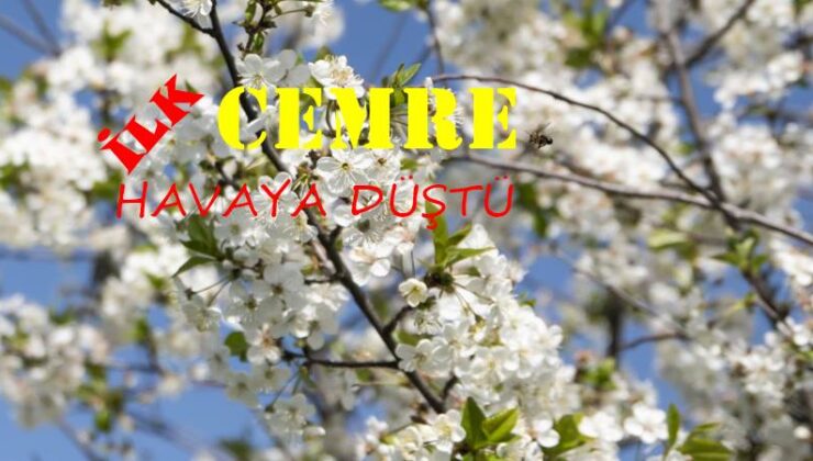 İlk cemre havaya düştü