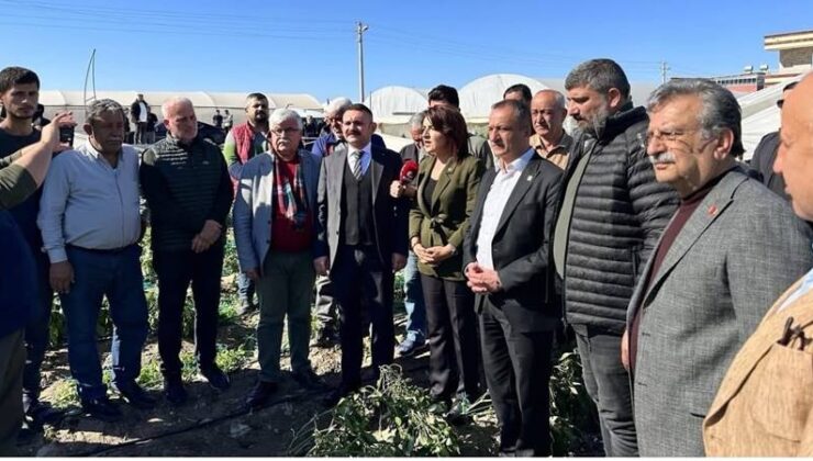 Mersin’de olumsuz hava koşulları üreticiyi vurdu!