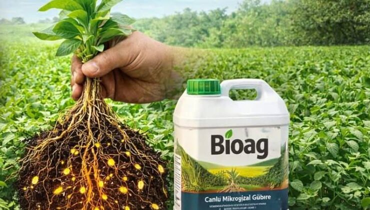 Toprağı canlandıran bakteri gücü: BioAg