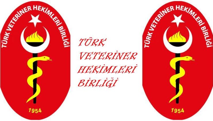 Hayvan ölümlerine Türk Veteriner Hekimleri Birliği’nden sert tepki