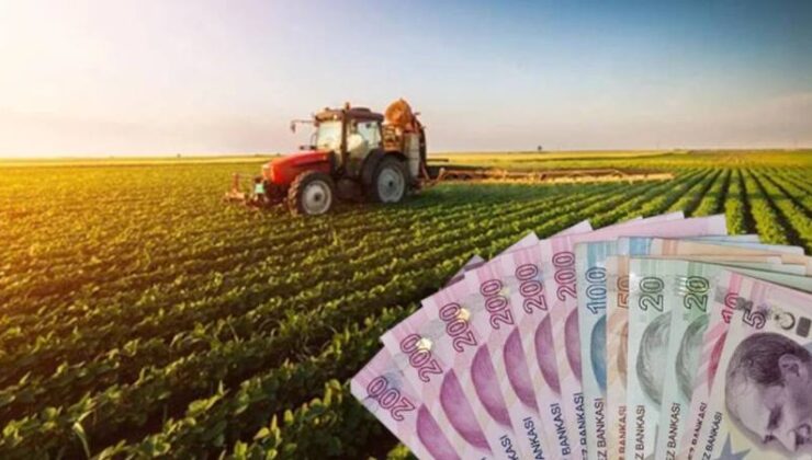 Bolluk döneminde üretici destek bekliyor