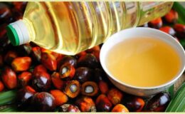 Palm yağı ile glutene ilişkin doğru bilinen yanlışlar…