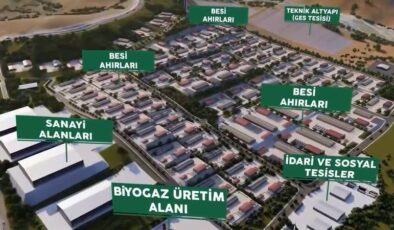 Erzincan hayvancılığa 800 milyon liralık yatırım yolda