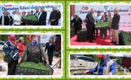 Aladağ, Feke, Tufanbeyli ilçelerinde fideler toprakla buluşuyor!