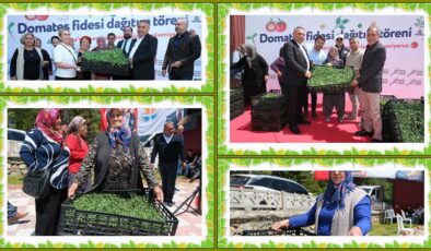 Aladağ, Feke, Tufanbeyli ilçelerinde fideler toprakla buluşuyor!