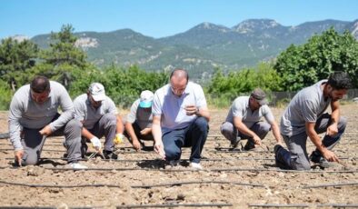 Çandır fasulyesi toprakla buluştu: İlk tohumu Başkan Kotan attı