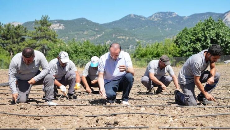 Çandır fasulyesi toprakla buluştu: İlk tohumu Başkan Kotan attı