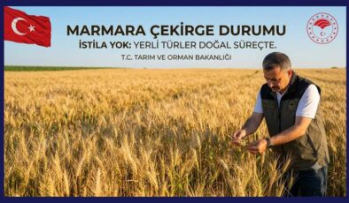 Çekirge saldırısı söylentilerine bakanlıktan açıklama