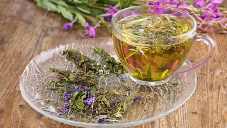 Yakı otu nedir, nasıl kullanılır?