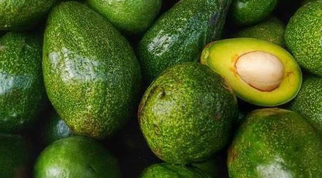 Avokado nasıl saklanmalı?