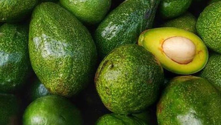 Avokado nasıl saklanmalı?
