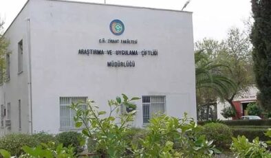 Çukurova Üniversitesi çiftliğinde elektrik borcu bunalımı