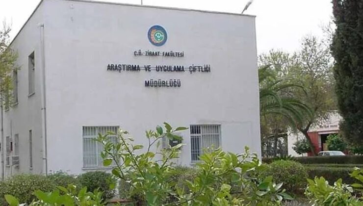 Çukurova Üniversitesi çiftliğinde elektrik borcu bunalımı